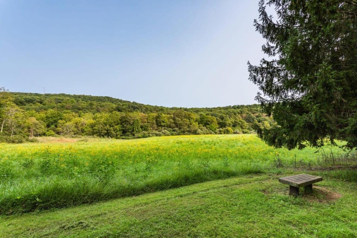 Huge Cabin W Hot Tub, Deck, Grill, Fire Pit, Wifi Berkeley Springs Buitenkant foto