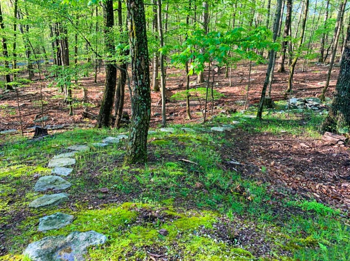 Huge Cabin W Hot Tub, Deck, Grill, Fire Pit, Wifi Berkeley Springs Buitenkant foto